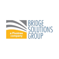 Bridgegroup Solutions logo